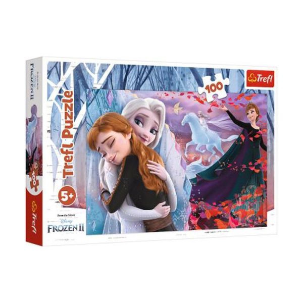 PUZZLE TREFL 100τεμ. FROZEN TOGETHER FOREVER 16399