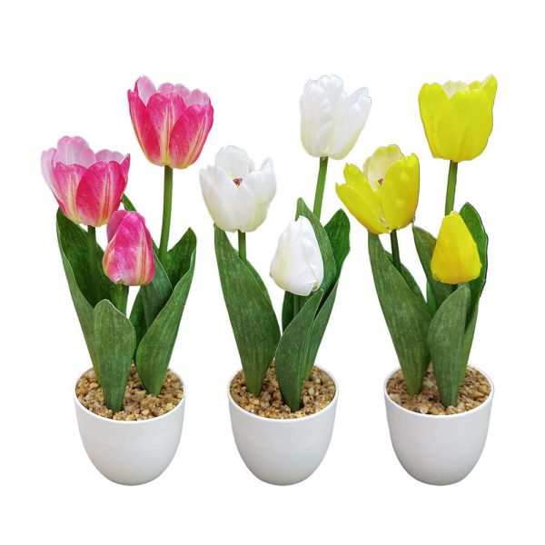 ΓΛΑΣΤΡΑΚΙ ΠΛΑΣΤΙΚΟ ΜΕ ΤΟΥΛΙΠΕΣ 34εκ. (3 διαφορετικά χρώματα) 223103