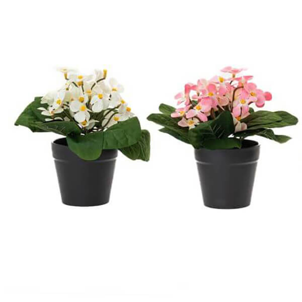 ΓΛΑΣΤΡΑΚΙ ΠΛΑΣΤΙΚΟ ΓΚΡΙ ΜΕ ΜΑΡΓΑΡΙΤΕΣ Φ18Χ18εκ. (6 διαφορετικά χρώματα) 85822