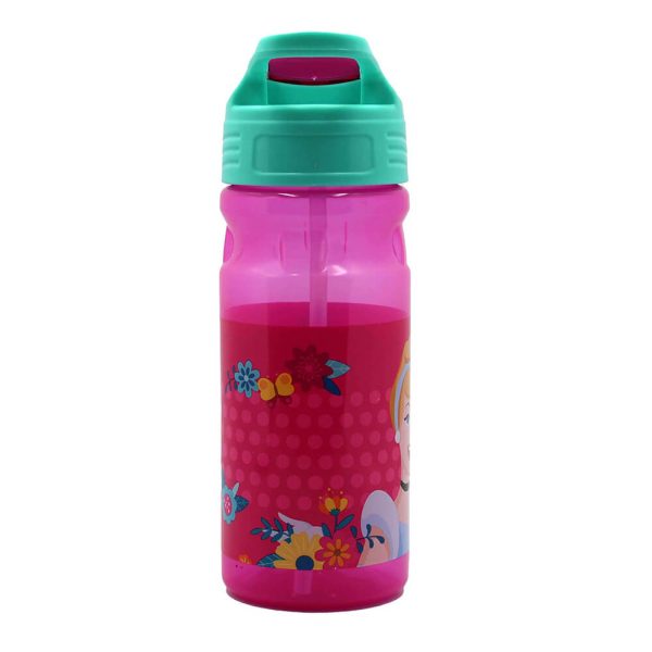 ΠΑΓΟΥΡΙ ΠΛΑΣΤΙΚΟ FLIP 500ml PRINCESS 551-42203